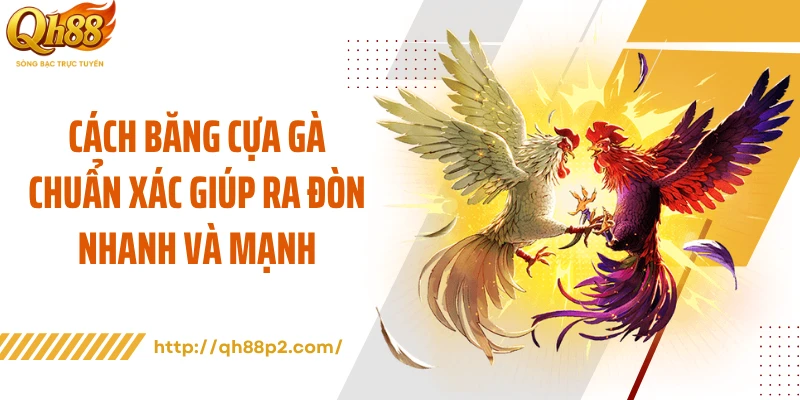 Cách Băng Cựa Gà Chuẩn Xác Giúp Ra Đòn Nhanh Và Mạnh