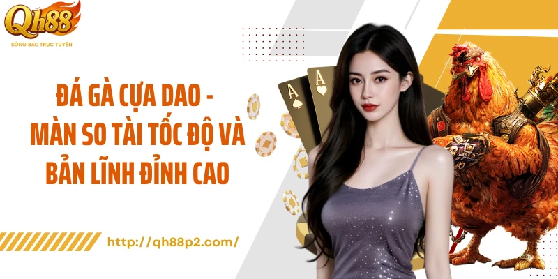 Đá Gà Cựa Dao - Màn So Tài Tốc Độ Và Bản Lĩnh Đỉnh Cao