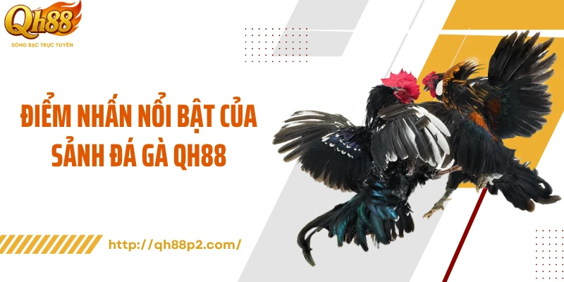 Điểm nhấn nổi bật của sảnh đá gà QH88