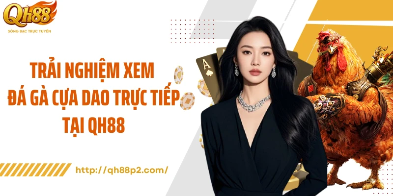 Trải nghiệm xem đá gà cựa dao trực tiếp tại QH88